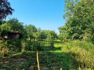 ...mit Bauerngarten