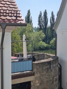 Blick zum Main
