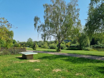 Blick vom Garten